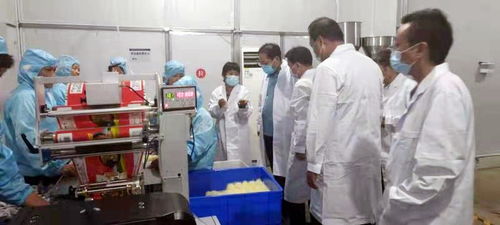 嵩縣民營企業防疫和生產兩不誤