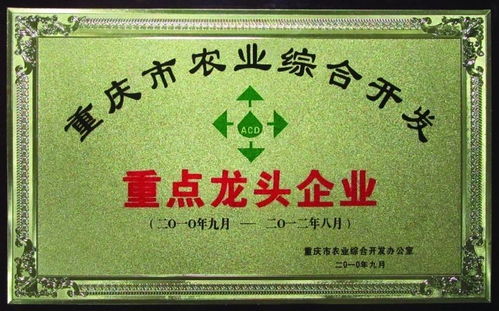 重慶美德實(shí)業(yè)集團(tuán)