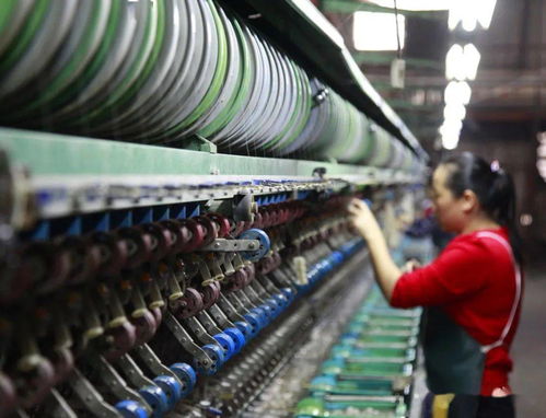 服務 走在前 發展有信心