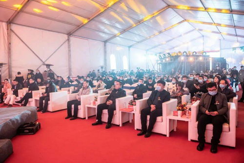 地王實業集團“悅”系列精裝房產品首發亮相陽光城