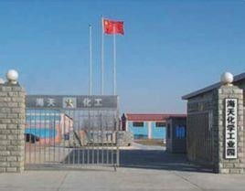 武漢海天實業集團 穩健前行的綜合性實業集團