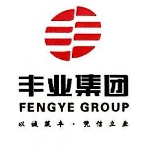 重慶豐業實業發展(集團) 實業集團的崛起與未來展望