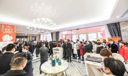 地王實業集團旗下全新“悅”系精裝房產品首發亮相陽光城，引領品質生活新浪潮