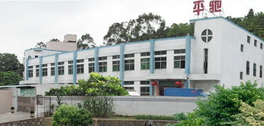 品牌廿載，匠心筑夢 深圳平馳實業(yè)集團(tuán)領(lǐng)航中國汽車養(yǎng)護(hù)業(yè)新躍升